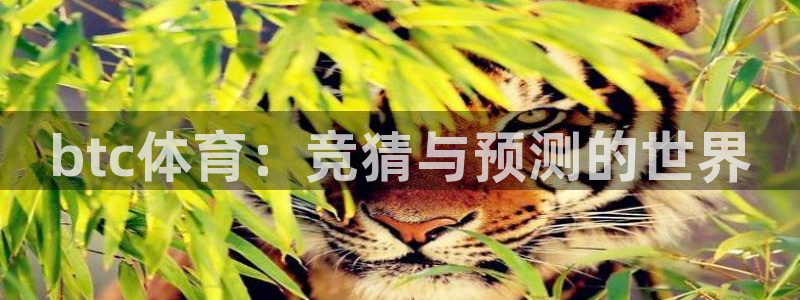 btc体育：竞猜与预测的世界