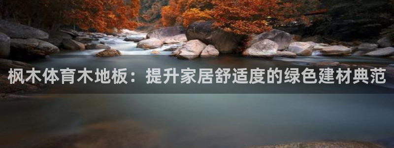 枫木体育木地板：提升家居舒适度的绿色建材典范